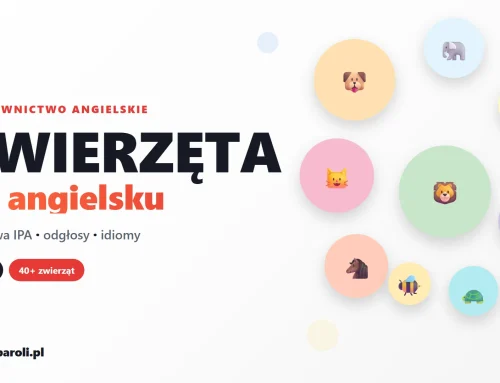 Zwierzęta po angielsku – kompletne słownictwo z wymową